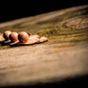 img-right-footer05