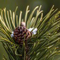 img-right-footer08